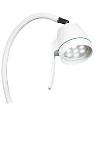 LID LAMPS