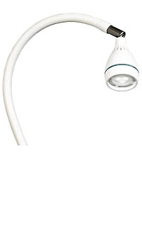 LID LAMPS