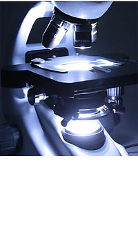 OPTIKA MIKROSKOOPIT
