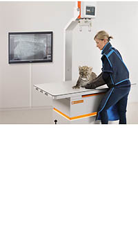 OR TECHNOLOGY AMADEO V-DR nano II